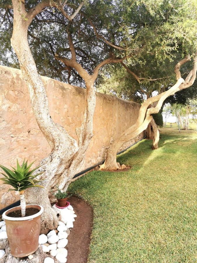 Maison Mimosa, Lovely 3 Bedroom Villa With A Large Pool Essaouira Exterior foto