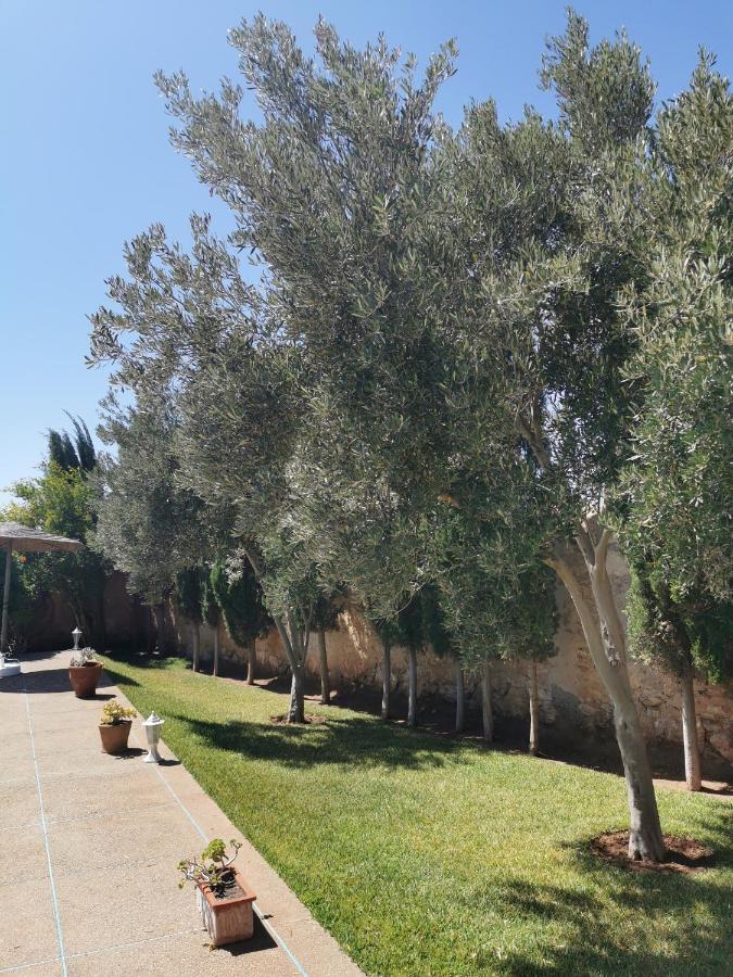 Maison Mimosa, Lovely 3 Bedroom Villa With A Large Pool Essaouira Exterior foto
