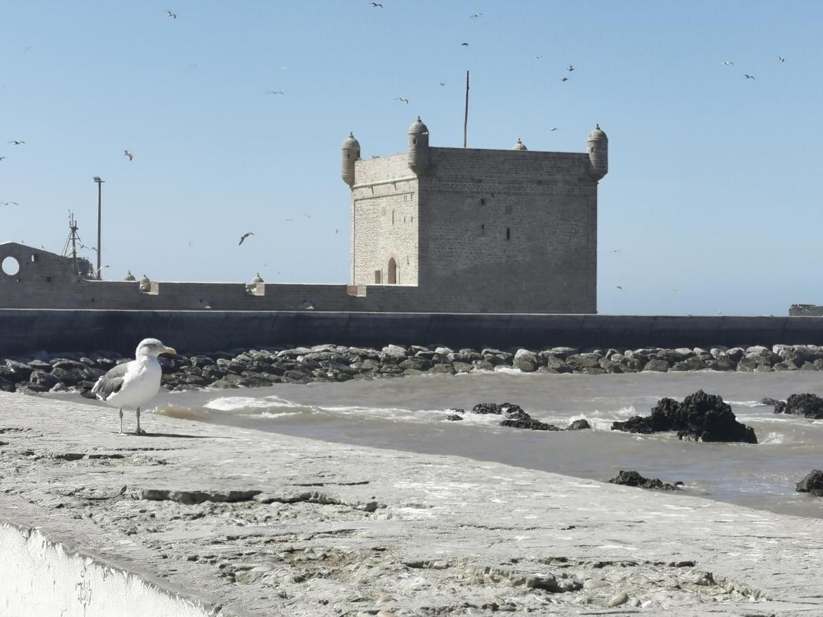 Maison Mimosa, Lovely 3 Bedroom Villa With A Large Pool Essaouira Exterior foto