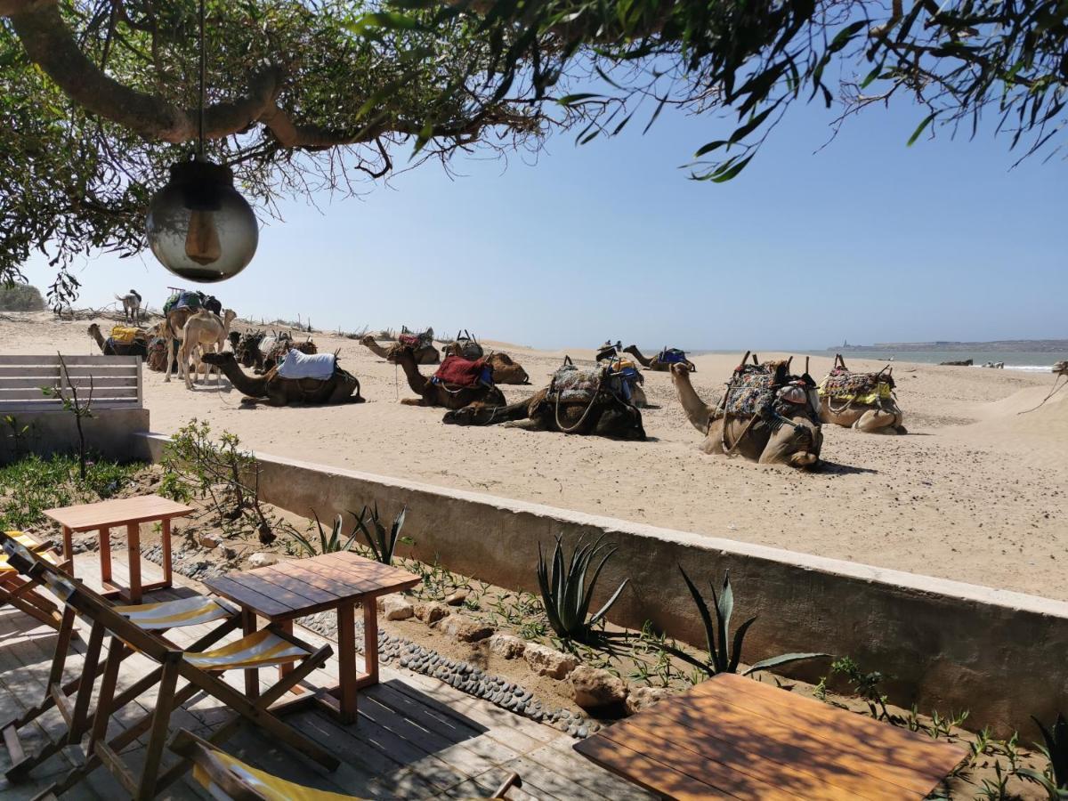 Maison Mimosa, Lovely 3 Bedroom Villa With A Large Pool Essaouira Exterior foto
